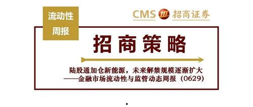 最新动态爆料新闻视频,揭秘新闻视频背后的惊人真相！  第2张